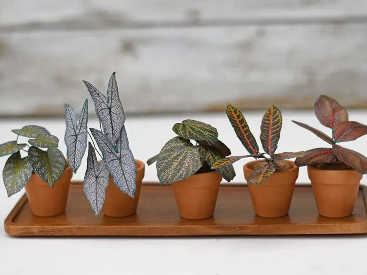 tray of five mini potted paper plants