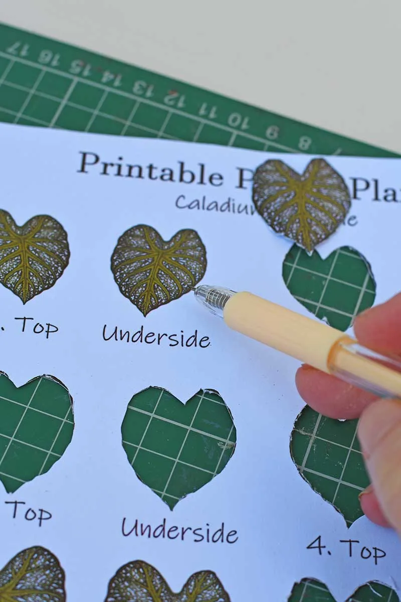 cutting out paper tropical leaves with paper cutting pen