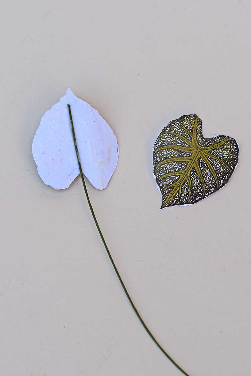 glueing stem to leaf