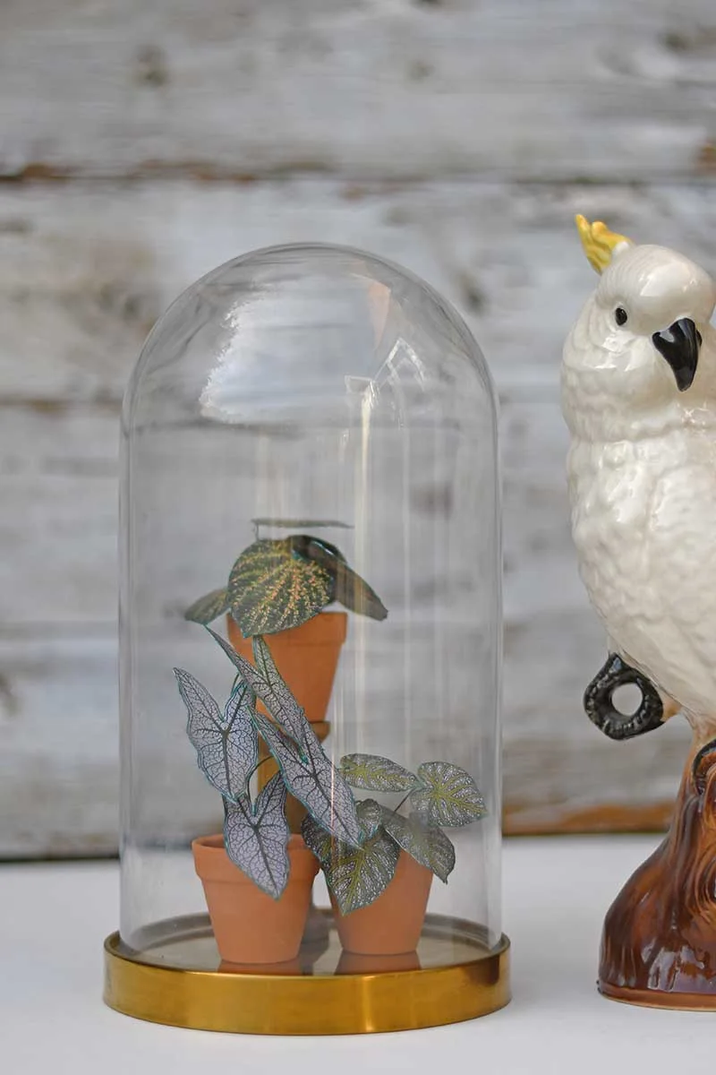 mini paper plants in cloche with parrot