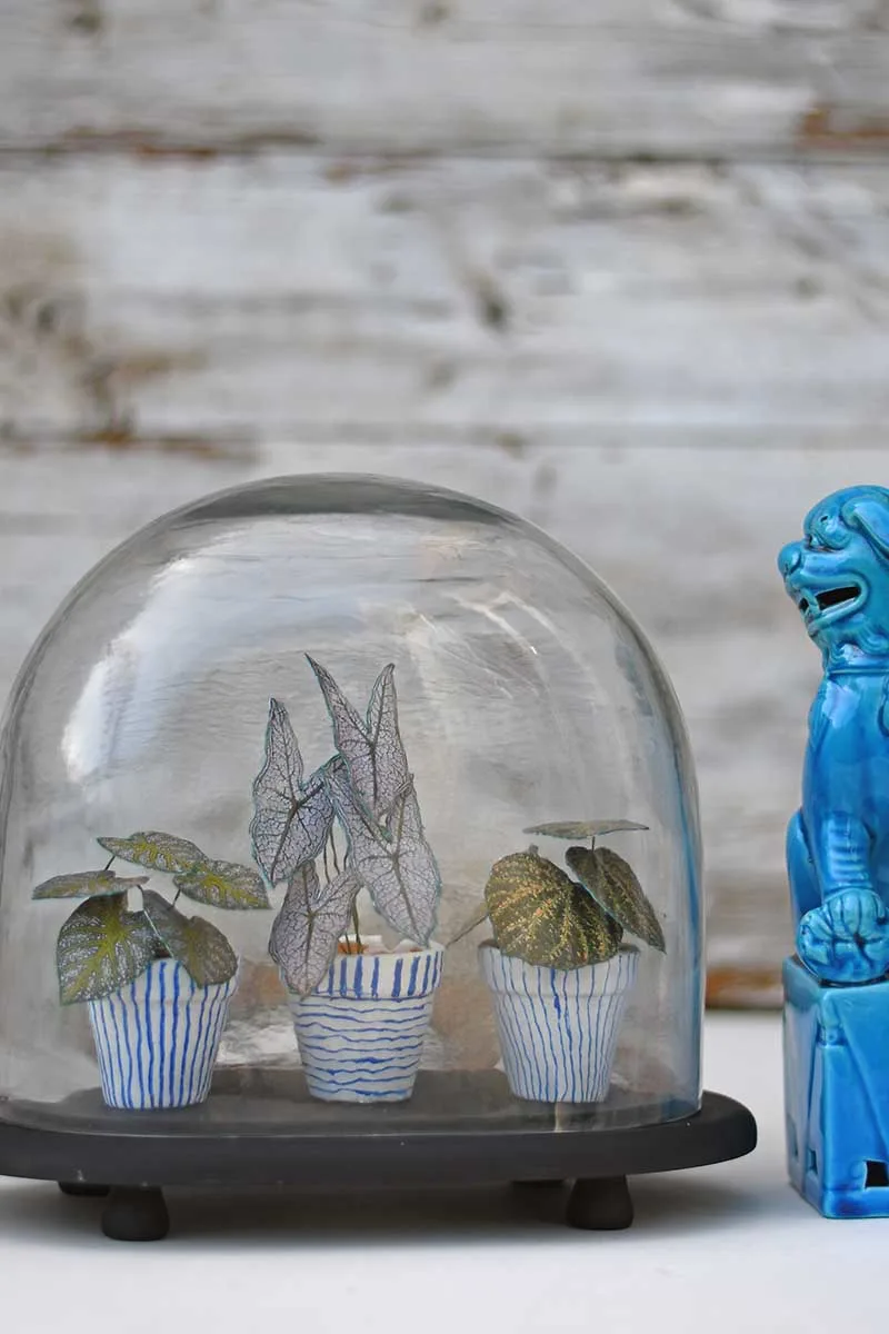 paper plants in cloche with foo dog