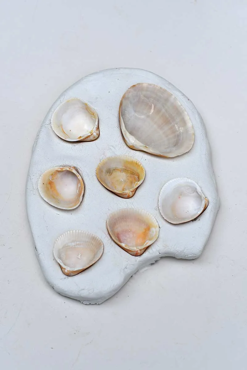leaving air dry clay seashell paint palette to dry