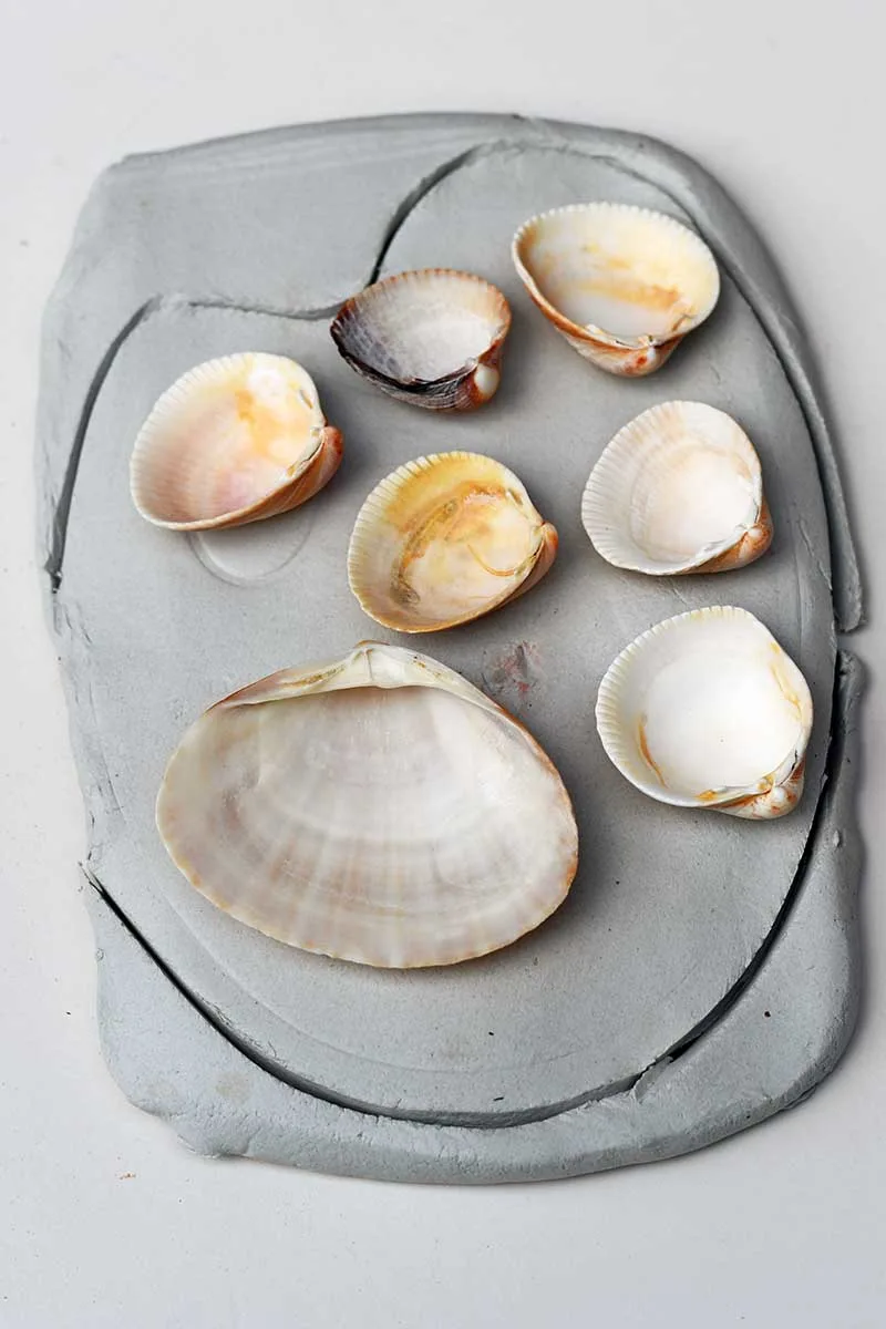 placing the shells on the clay