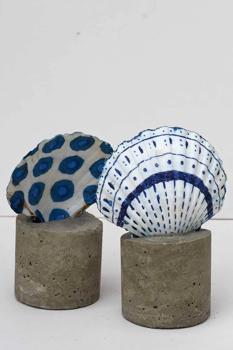 scallop shells in raw concrete cylinders