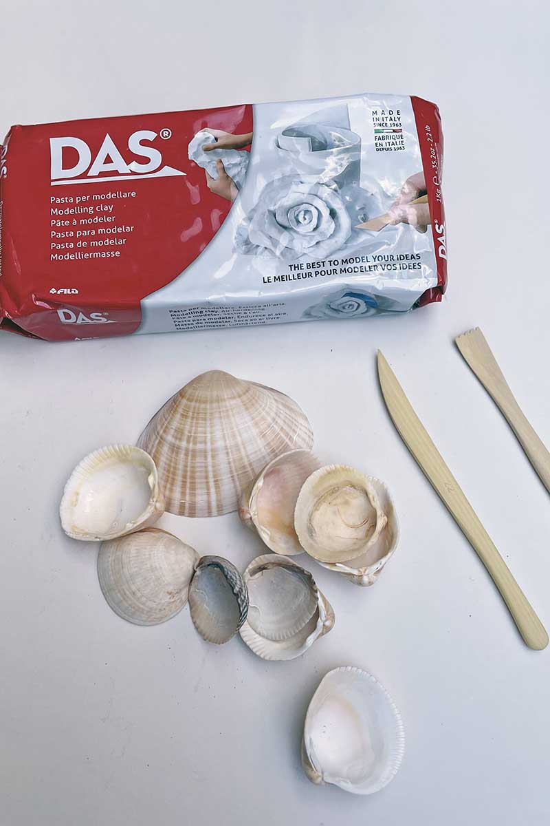 air dry clay, sea shell and wooden clay tools