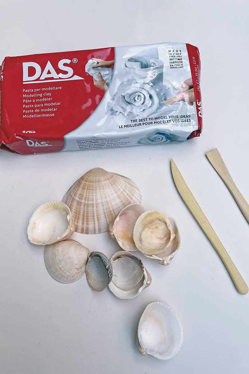 air dry clay, sea shell and wooden clay tools