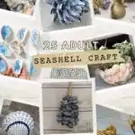 collage of adult sea shell crafts and diys