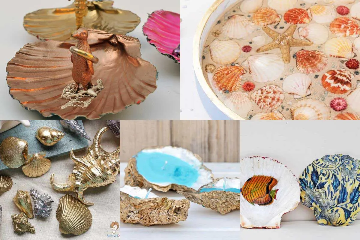 collage of sea shell crafts and DIYs for adults