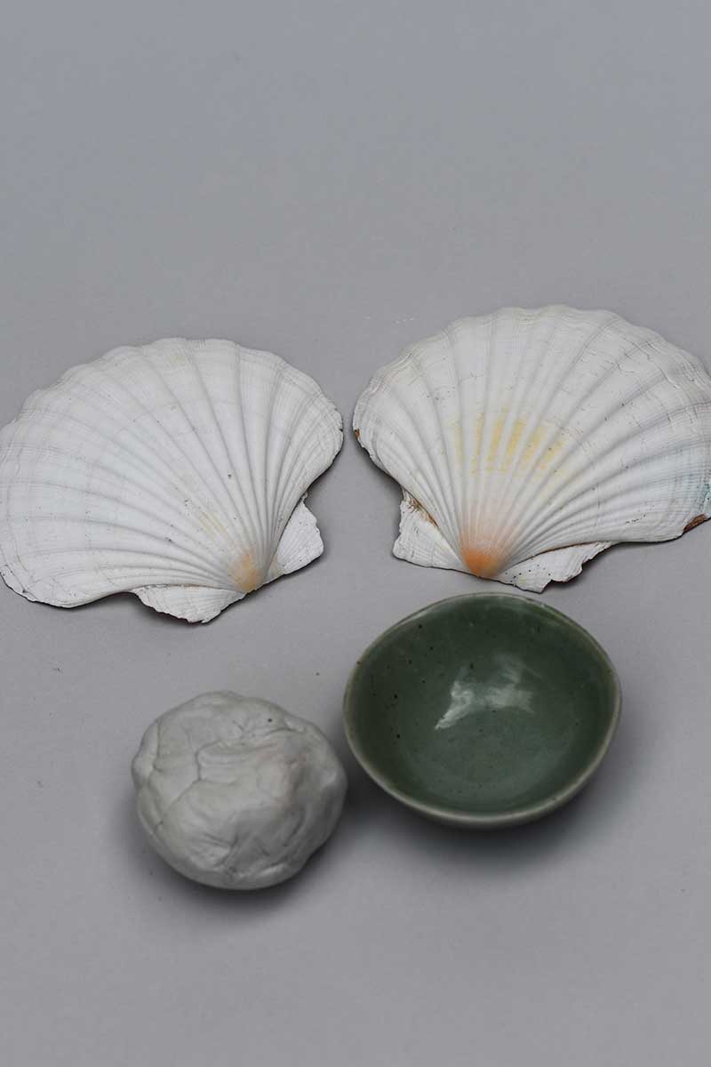 What you need to make a scallop napkin holder