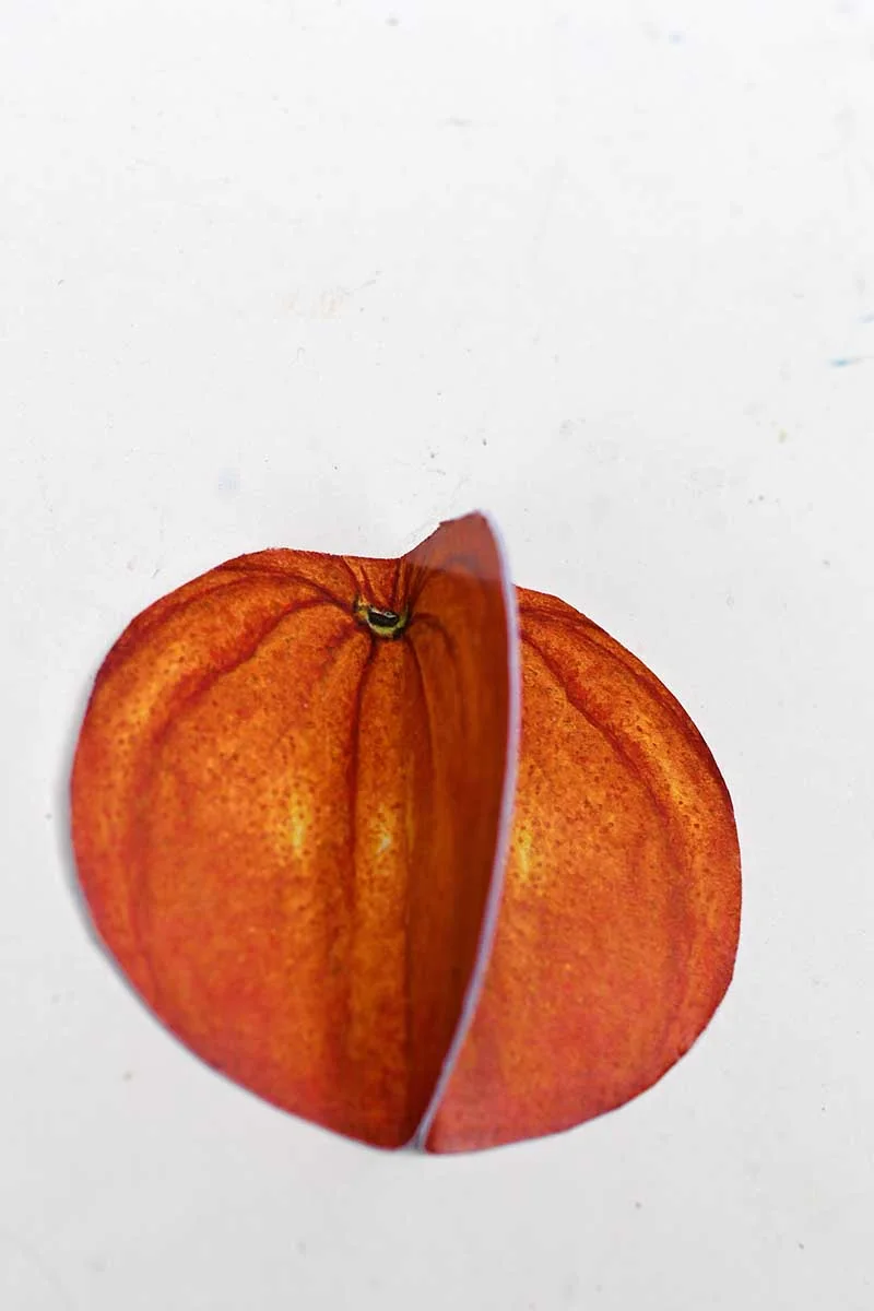 2 pieces lined up and glued orange paper fruit ornament