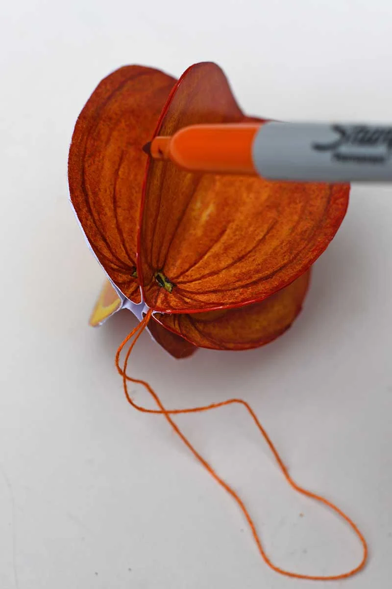 Colouring in the edges of the orange fruit with sharpies