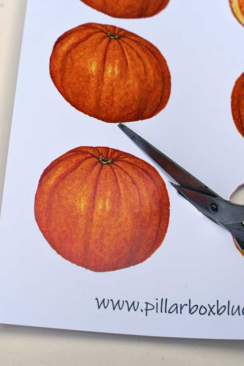 cutting out orange from template