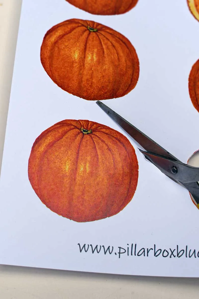 cutting out orange from template