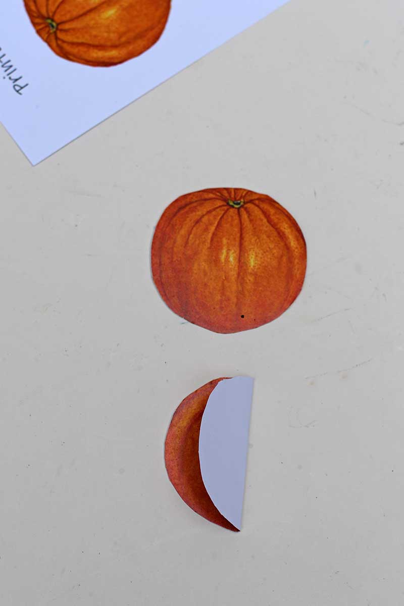 Folding in half orange shape