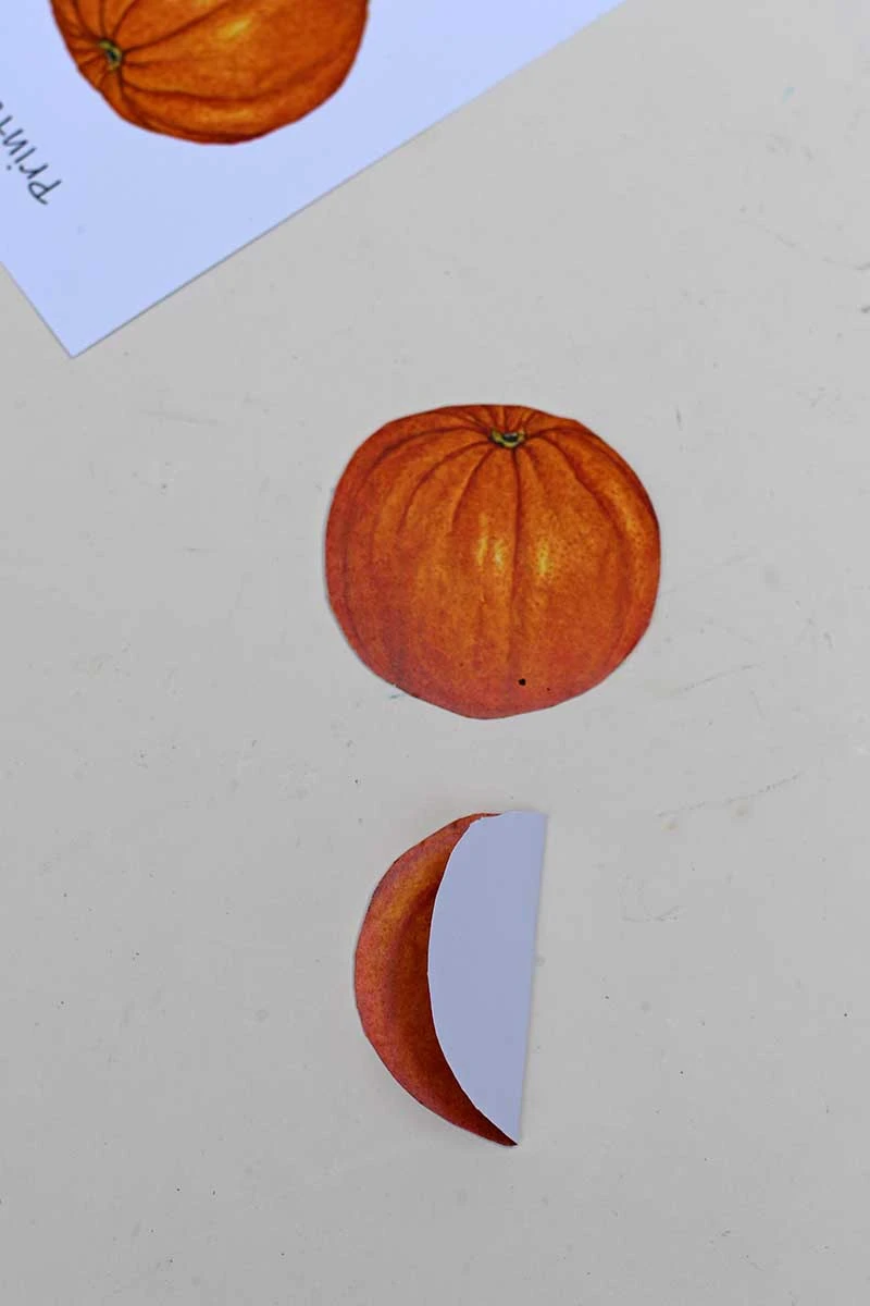 Folding in half orange shape