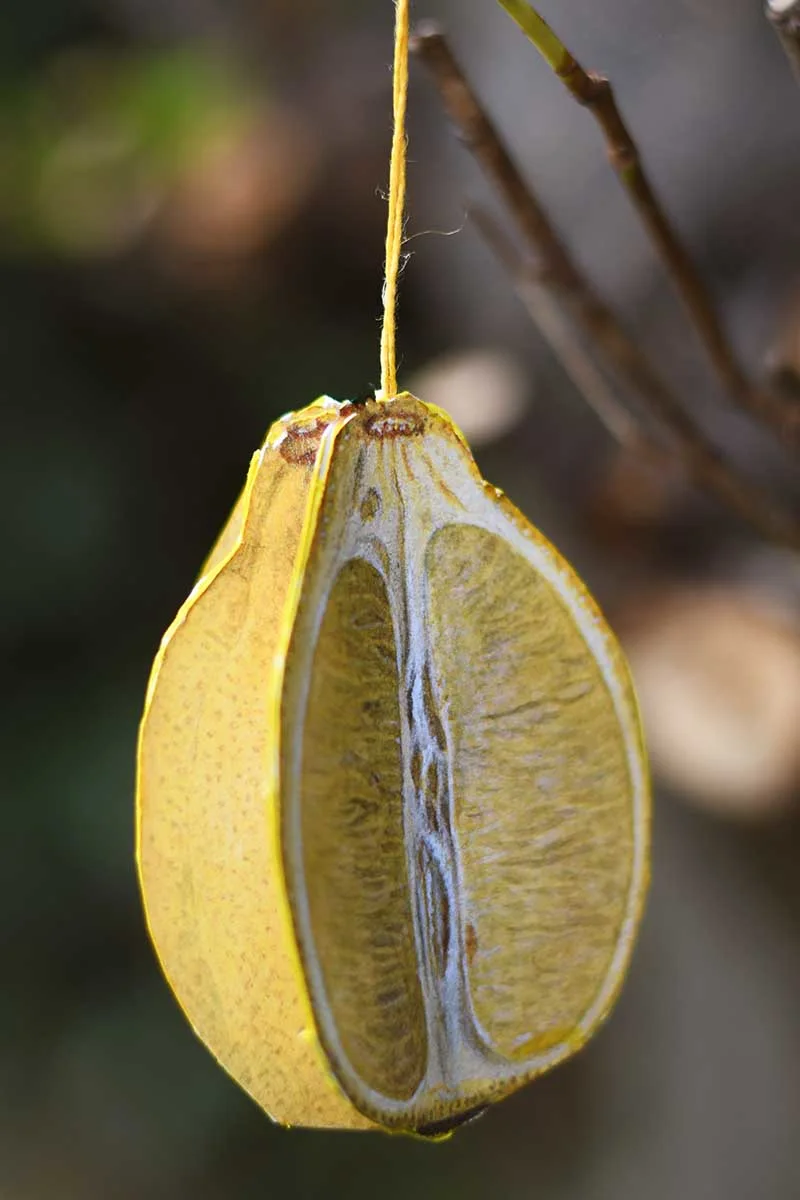 hanging lemon 3D paper ornament free printable