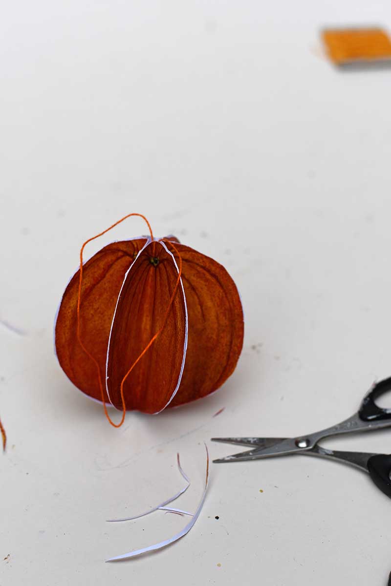 Trimming the edges of the orange ornament with scissors