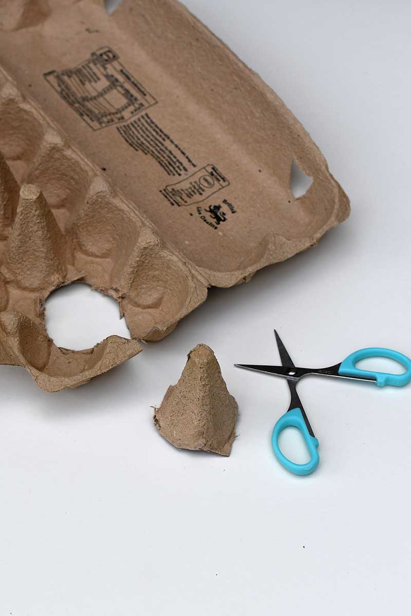cutting taller center from an egg box