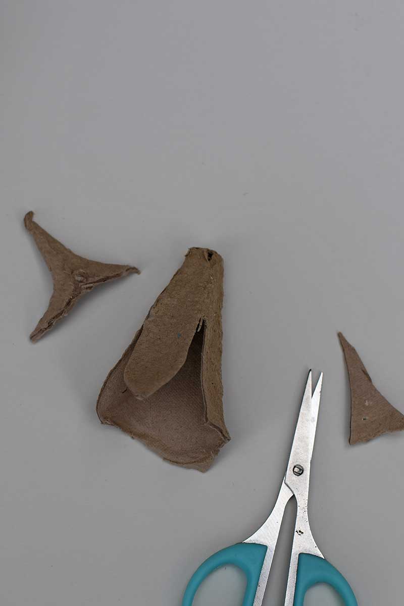 cutting snowdrop petals from an egg carton