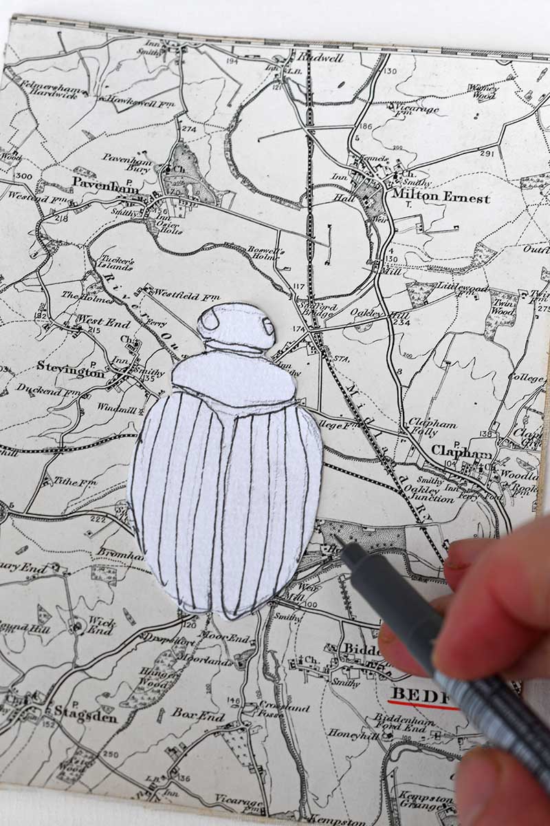Drawing around beetle template onto road map