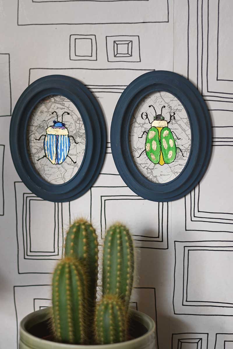 framed wall art specimen beetles