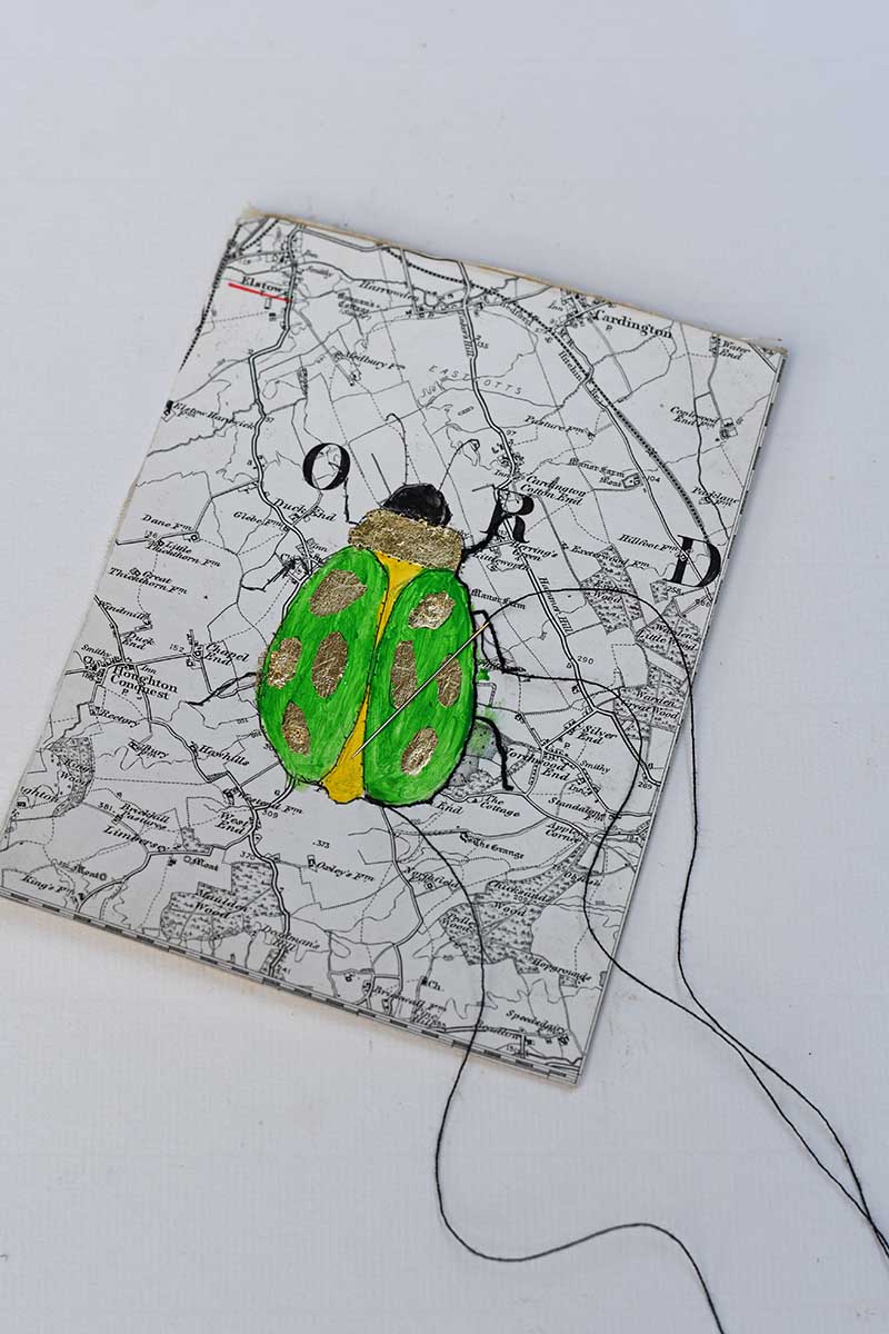 stitching the beetles outline