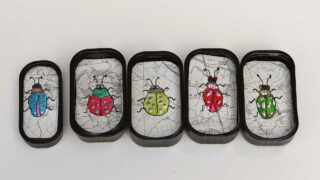 map Speciemen art beetles