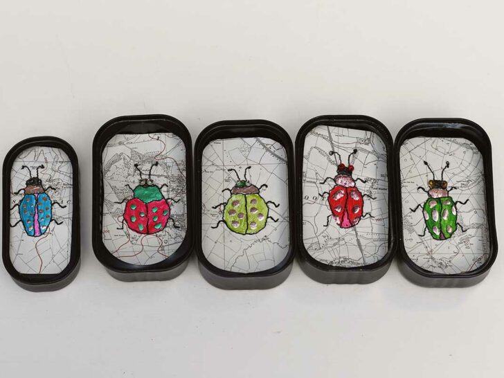 map Speciemen art beetles