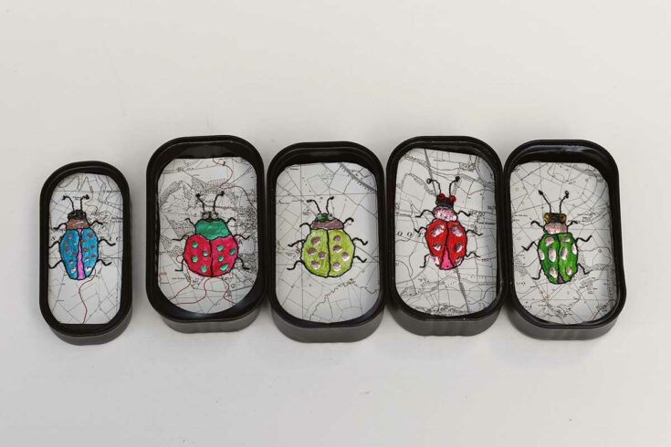 map Speciemen art beetles