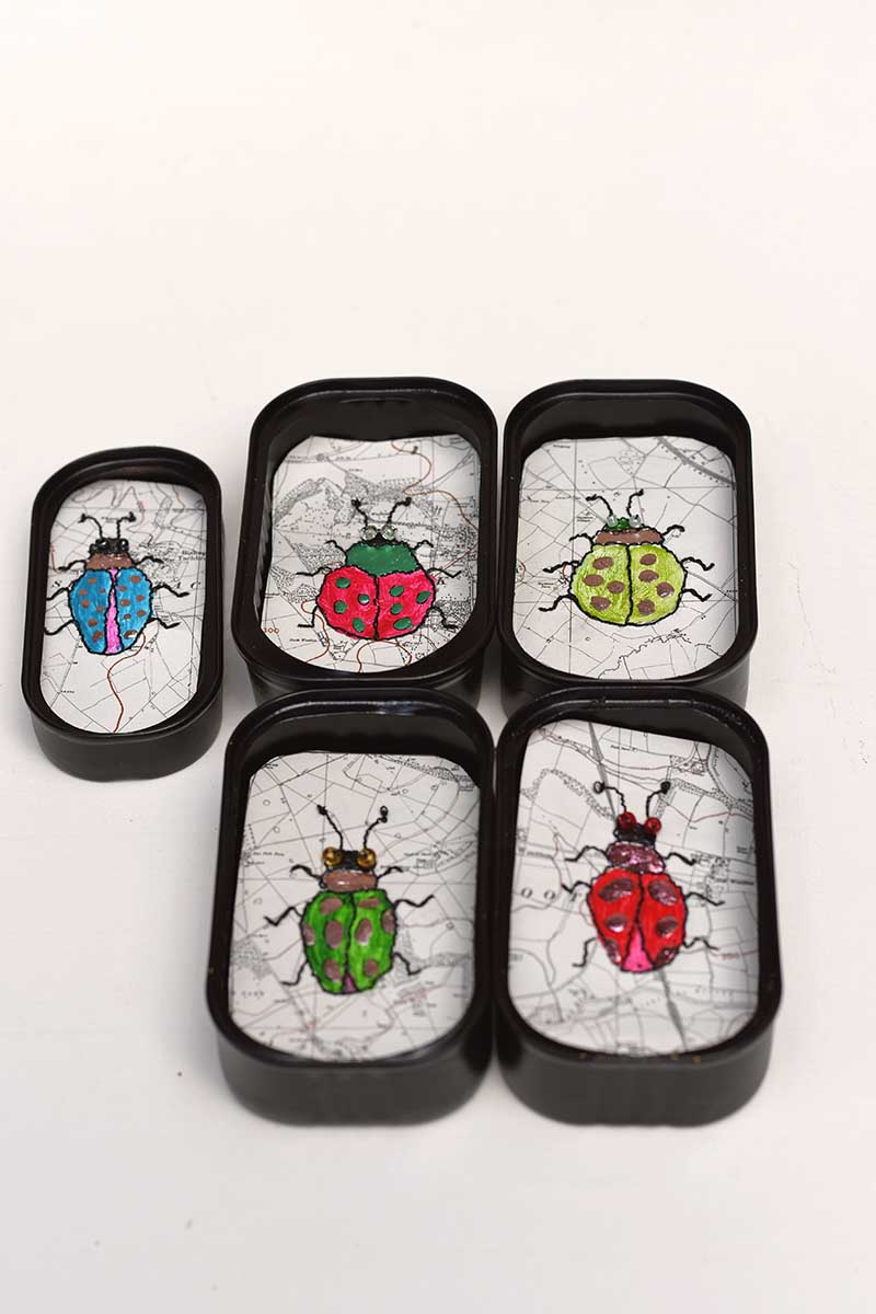 tin can map speciment art beetles