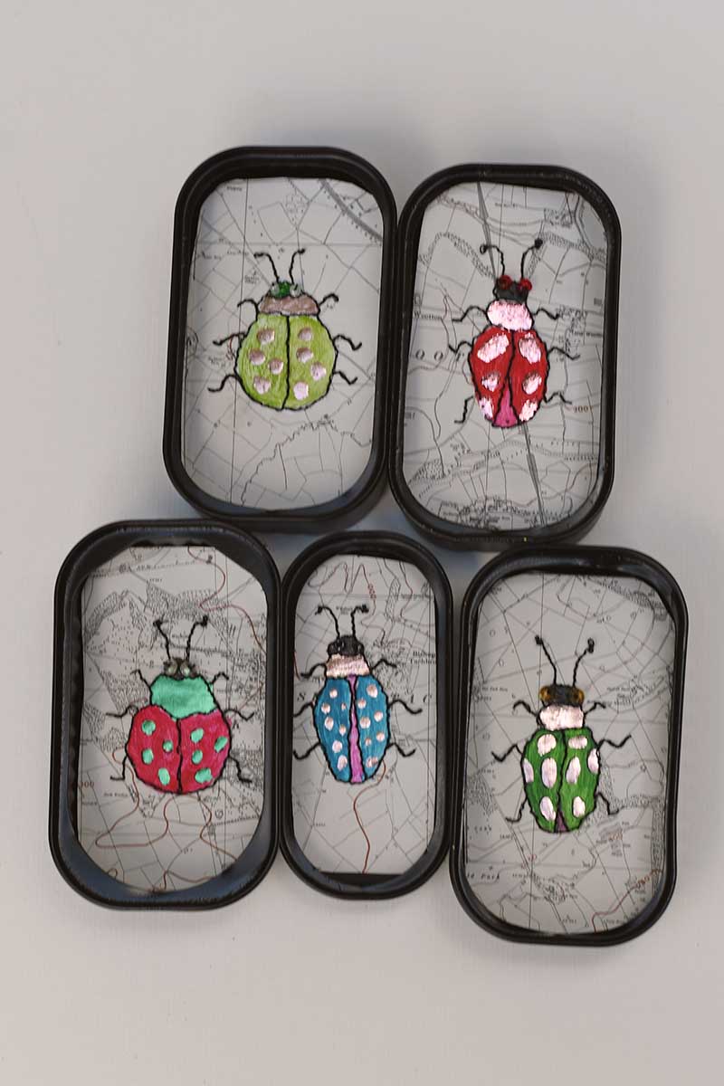 tin can specimen art beetles
