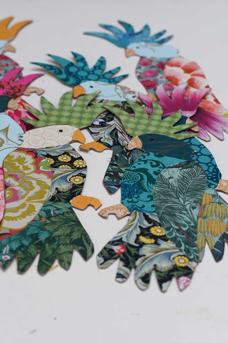 all the cutout paper collaged cockatoo birds