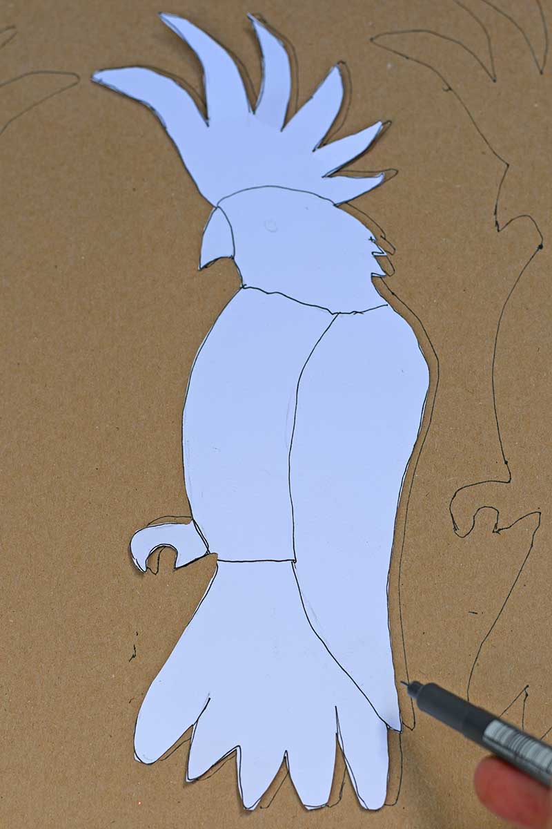 drawing around the cockatoo template