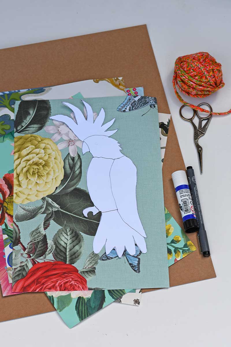 cockatoo template cardboard and wallpaper samples