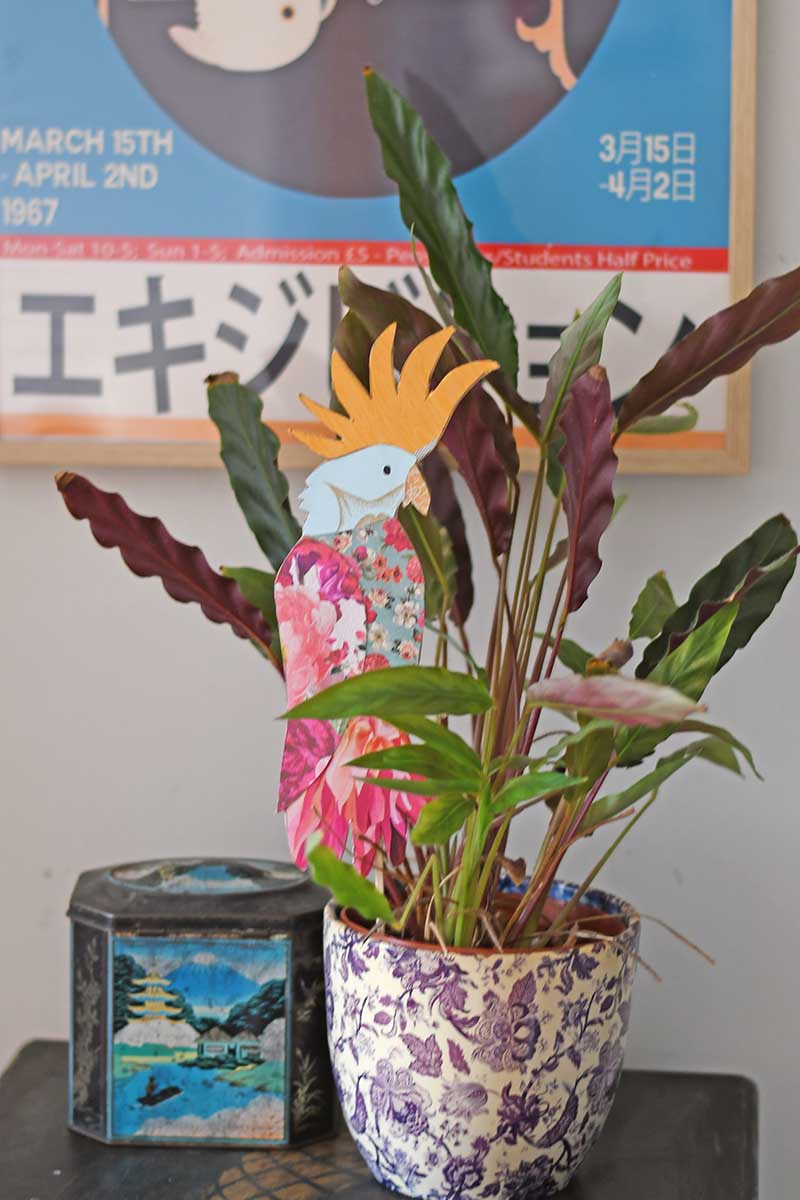 Pink cockatoo plant pot decoration