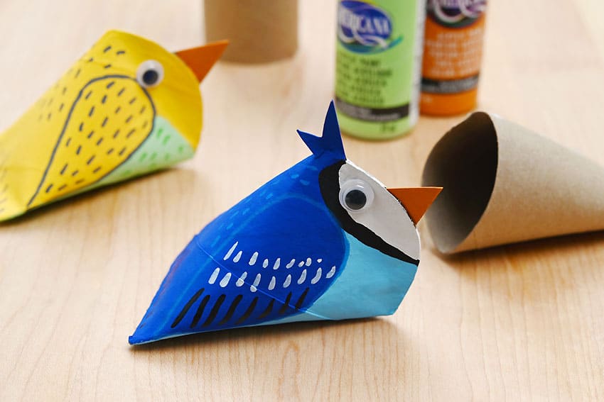 toilet paper roll birds