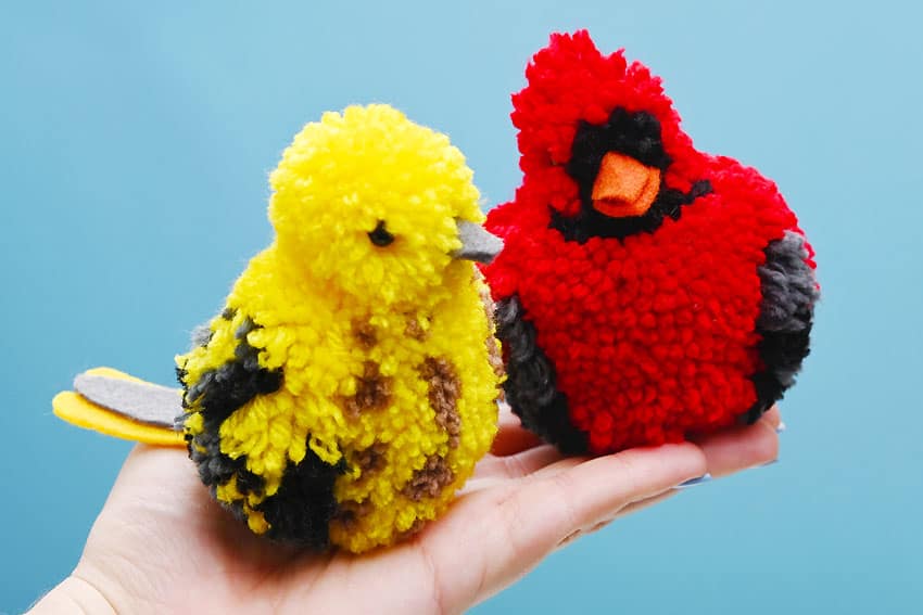pom pom birds