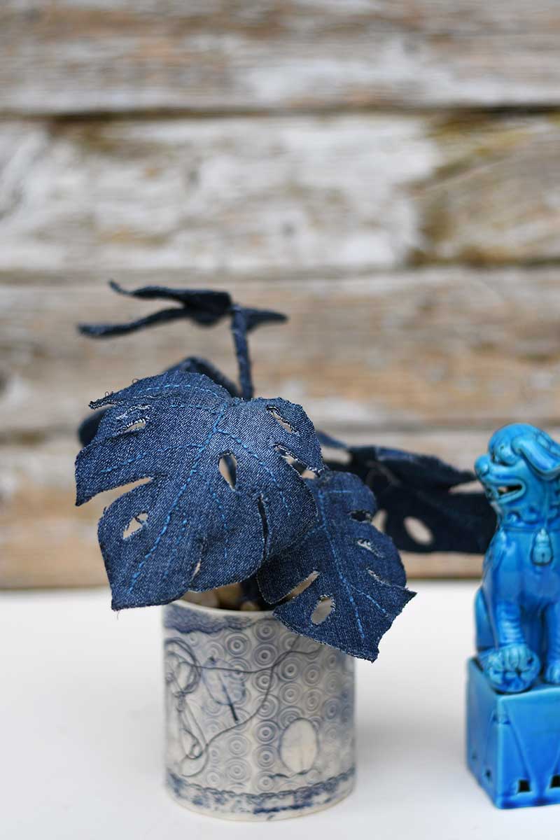 denim Monstera plant outside with blue foo dog