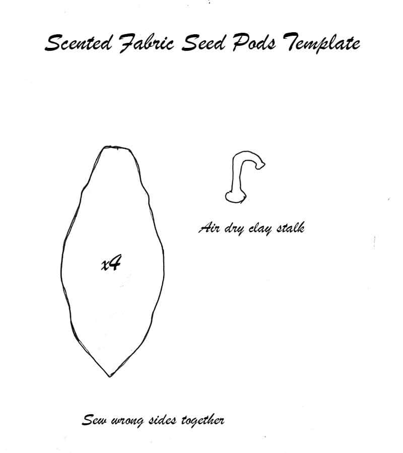 seed pod template